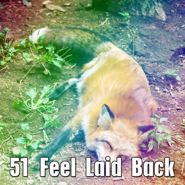 51 Feel Laid Back