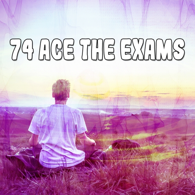 74 Ace the Exams