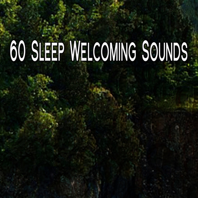 60 Sleep Welcoming Sounds