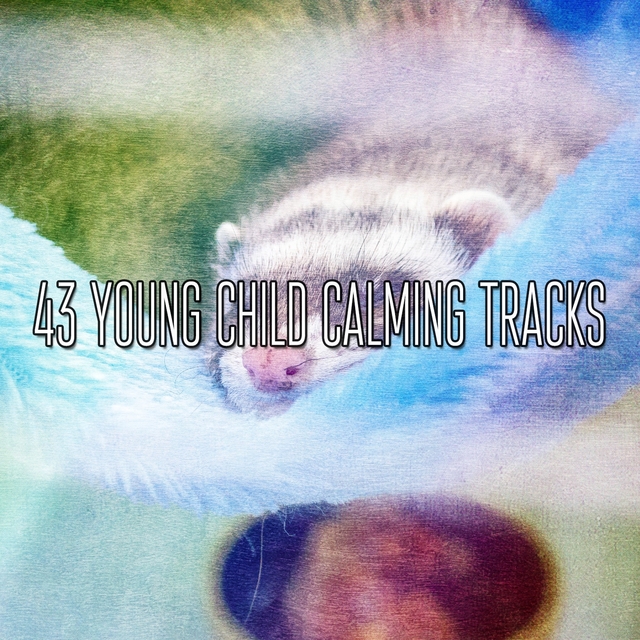 43 Young Child Calming Tracks