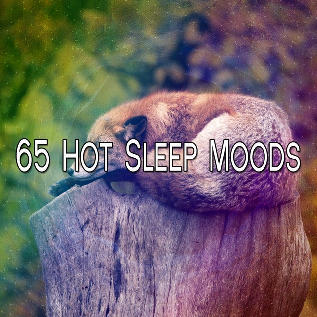 65 Hot Sleep Moods