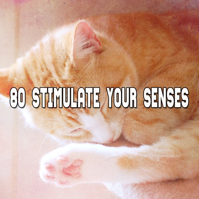 80 Stimulate Your Senses