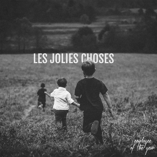 Couverture de Les jolies choses