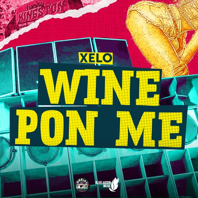 Couverture de Wine Pon Me