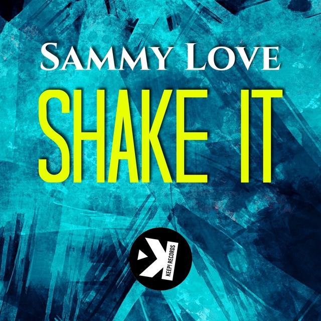 Couverture de Shake It