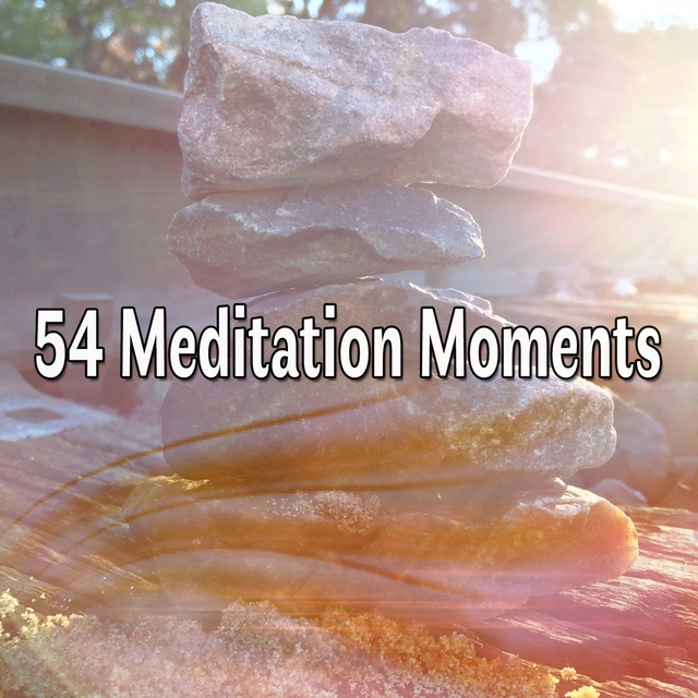 54 Meditation Moments