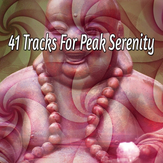 41 Tracks for Peak Serenity