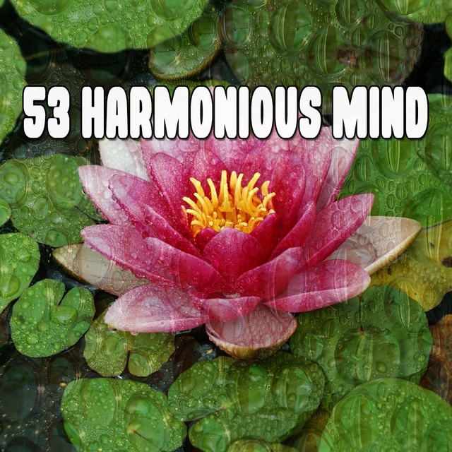 53 Harmonious Mind