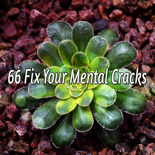 66 Fix Your Mental Cracks