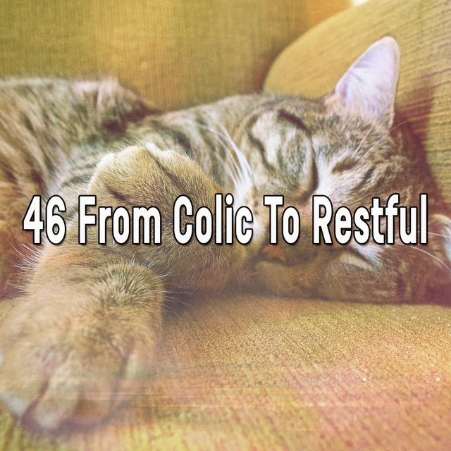 46 From Colic to Restful