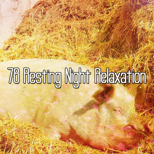 78 Resting Night Relaxation