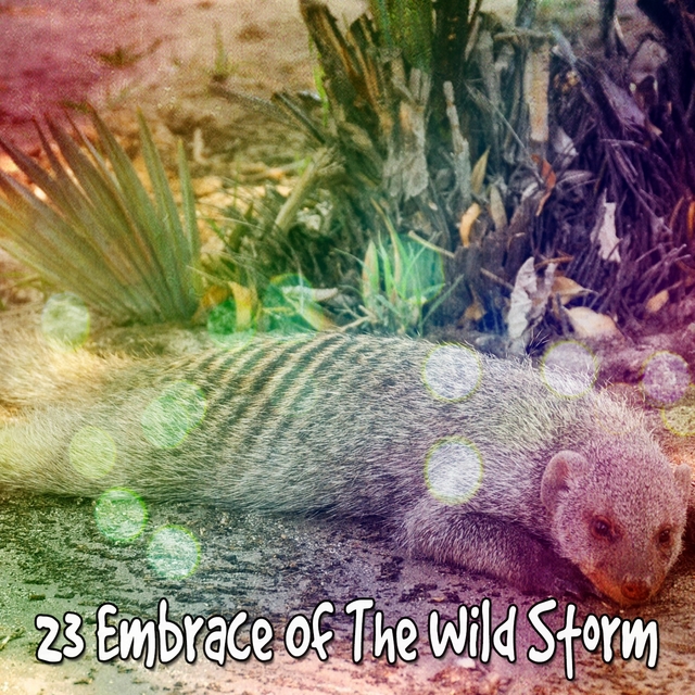 Couverture de 23 Embrace of the Wild Storm