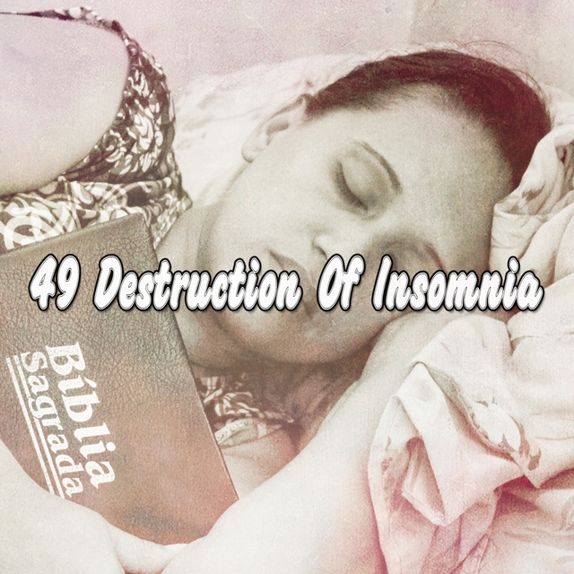 49 Destruction of Insomnia