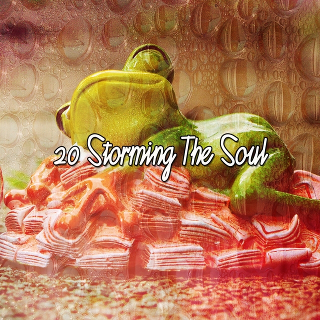 20 Storming the Soul