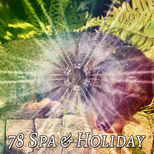 78 Spa & Holiday