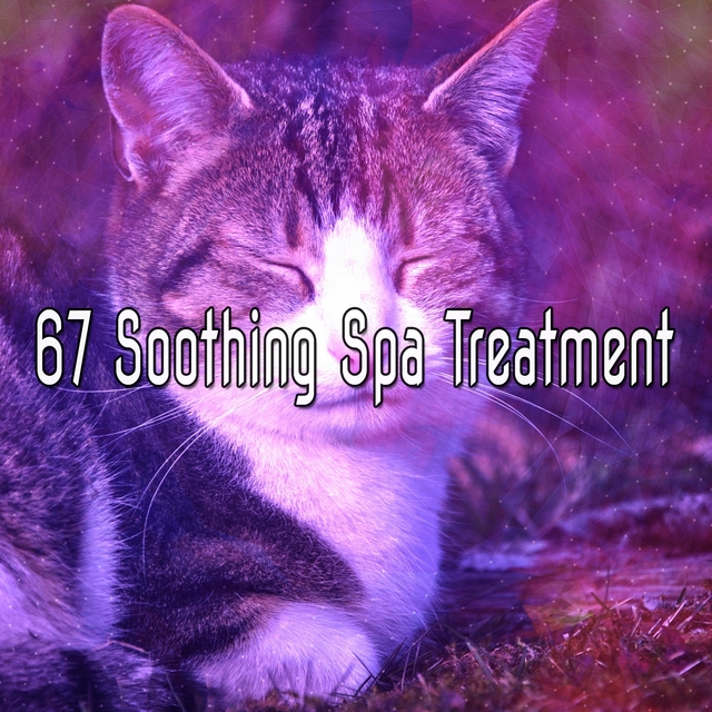 67 Soothing Spa Treatment