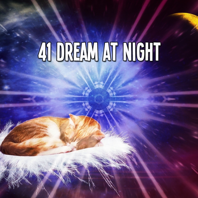 41 Dream at Night