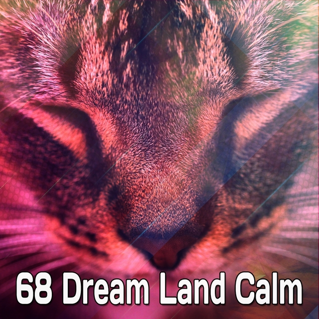68 Dream Land Calm