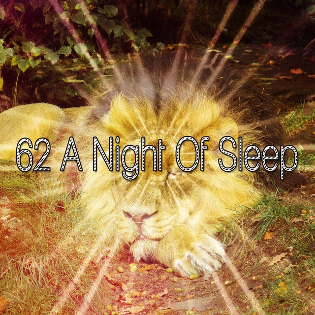 62 A Night of Sleep