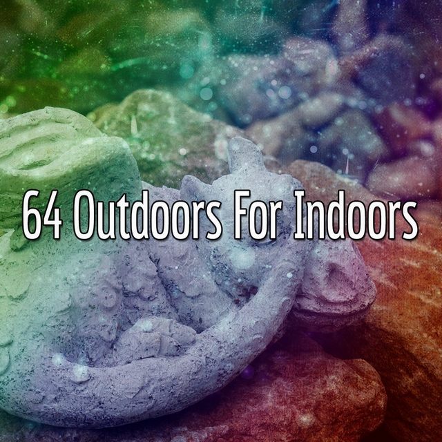 64 Outdoors for Indoors