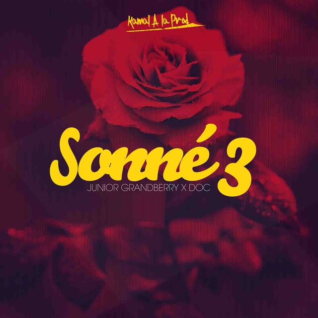 Couverture de Sonné 3