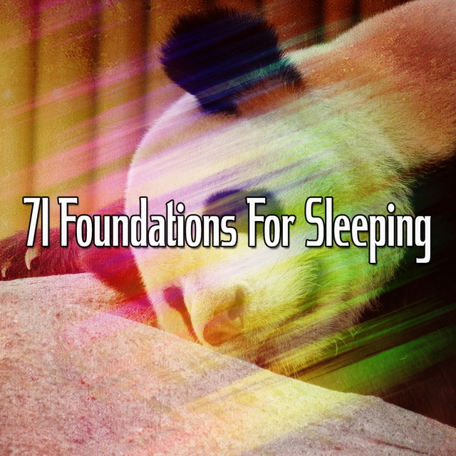 Couverture de 71 Foundations for Sleeping