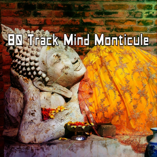 80 Track Mind Monticule