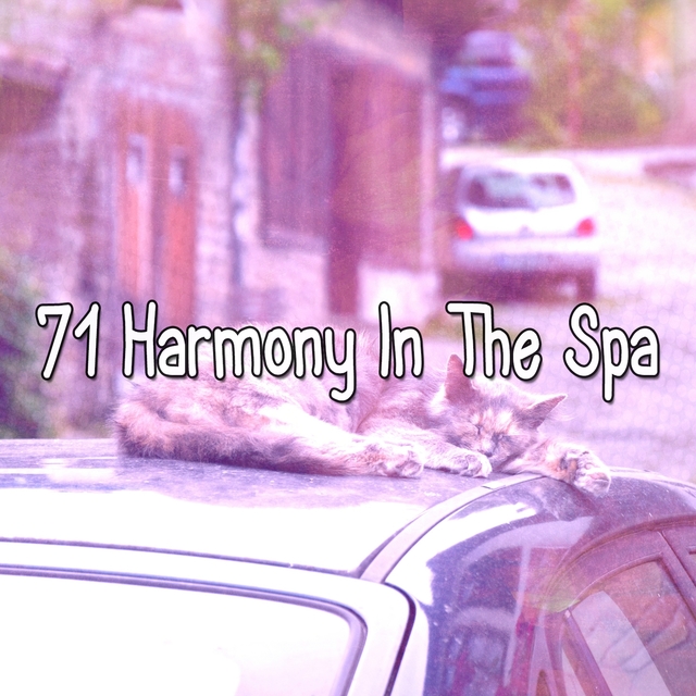 71 Harmony in the Spa