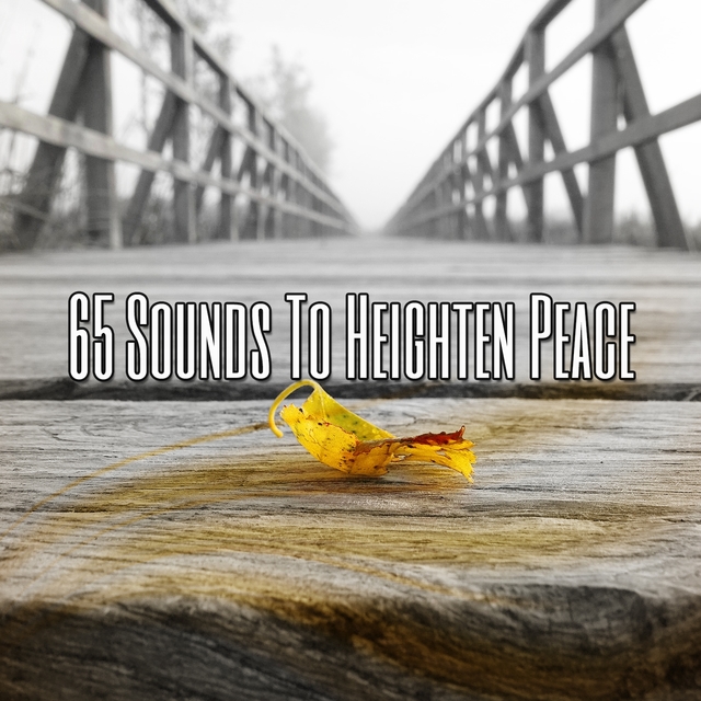 Couverture de 65 Sounds to Heighten Peace