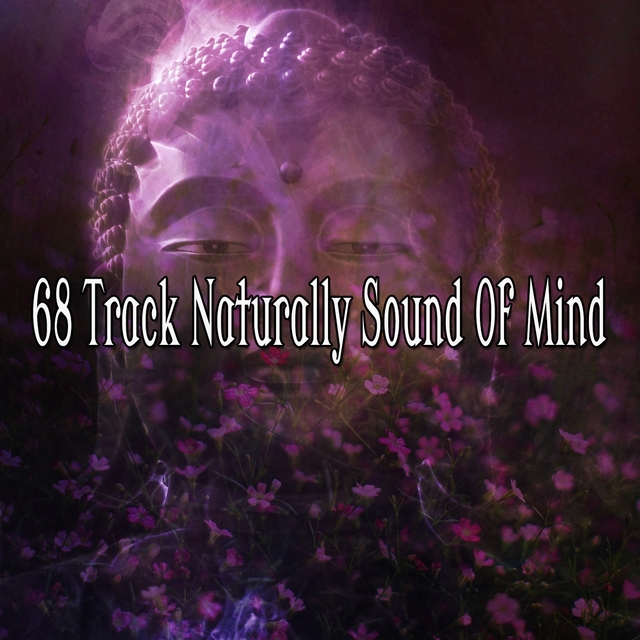 Couverture de 68 Track Naturally Sound of Mind