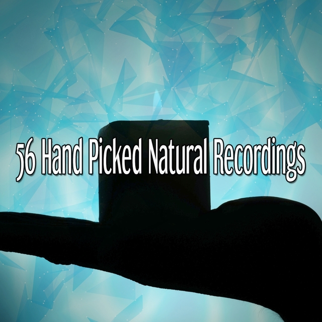 Couverture de 56 Hand Picked Natural Recordings