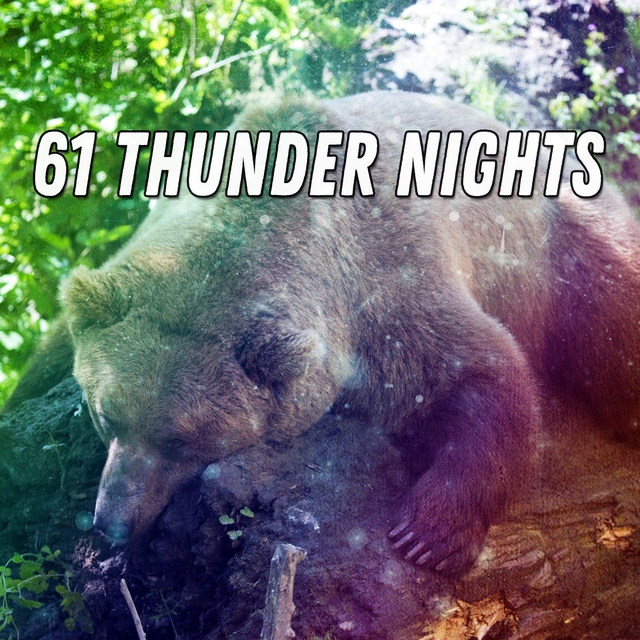 61 Thunder Nights