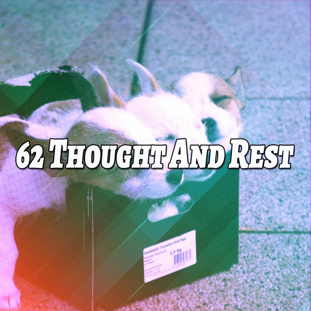 62 Thought and Rest