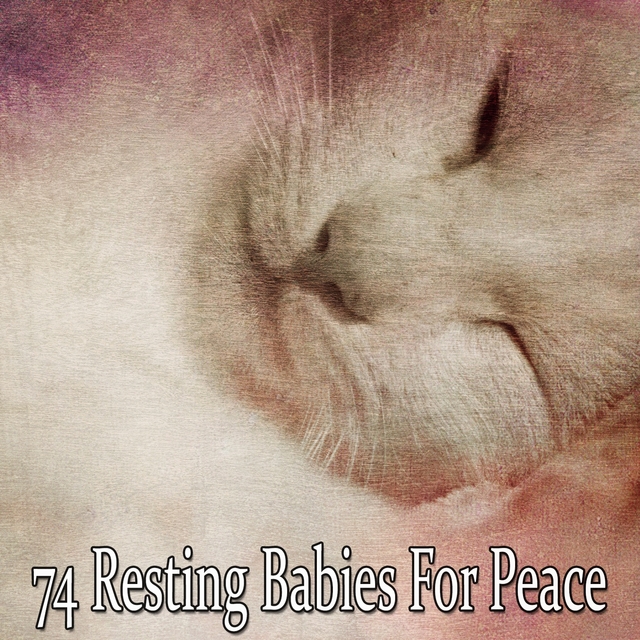 Couverture de 74 Resting Babies for Peace