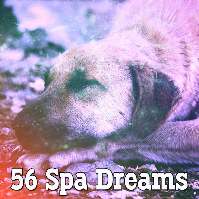 Couverture de 56 Spa Dreams