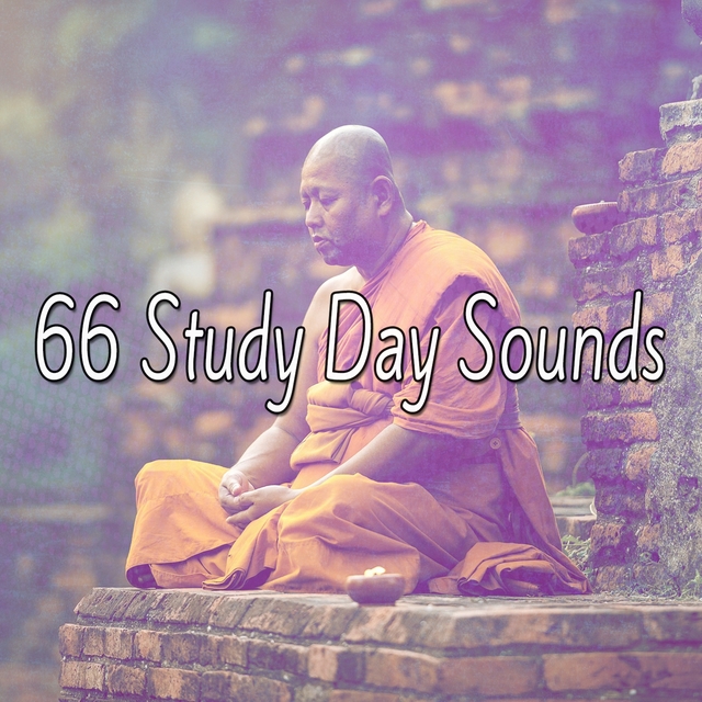 Couverture de 66 Study Day Sounds