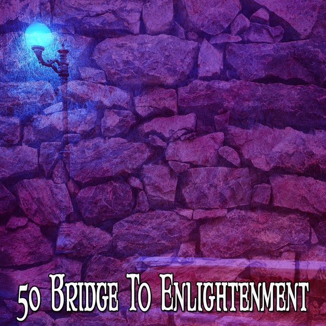 Couverture de 50 Bridge to Enlightenment