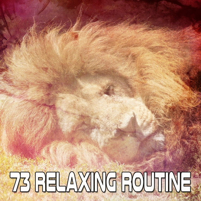 Couverture de 73 Relaxing Routine