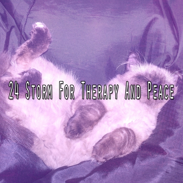 Couverture de 24 Storm for Therapy and Peace