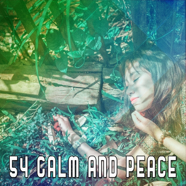 54 Calm and Peace