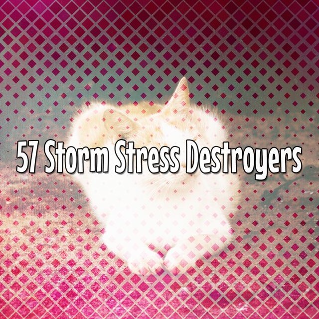 57 Storm Stress Destroyers