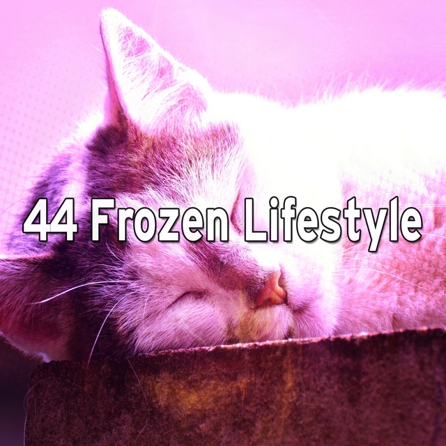 Couverture de 44 Frozen Lifestyle