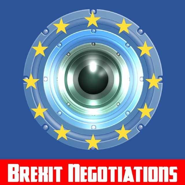 Brexit Negotiations