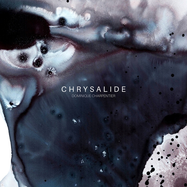 Couverture de Chrysalide