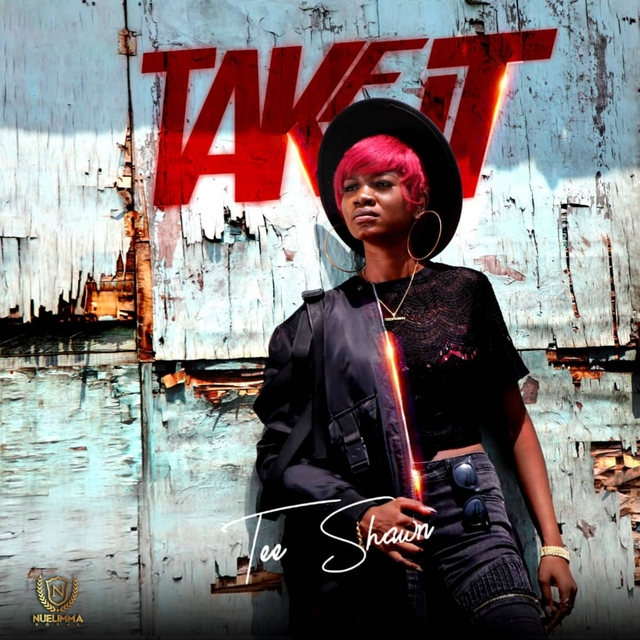 Couverture de Take It