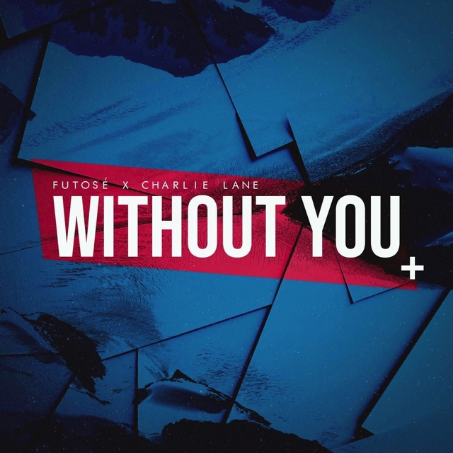 Couverture de Without You