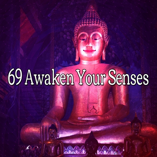 Couverture de 69 Awaken Your Senses