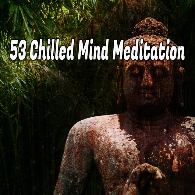 Couverture de 53 Chilled Mind Meditation