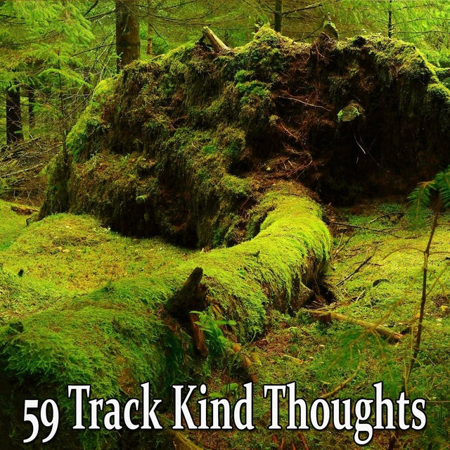 Couverture de 59 Track Kind Thoughts