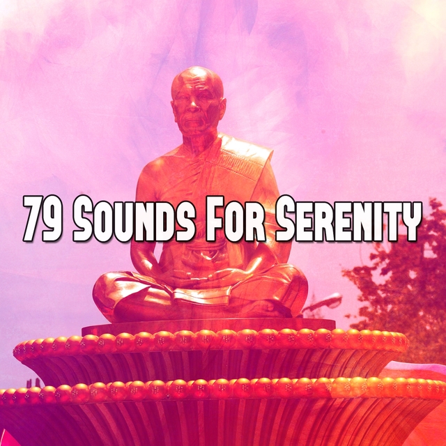 Couverture de 79 Sounds for Serenity